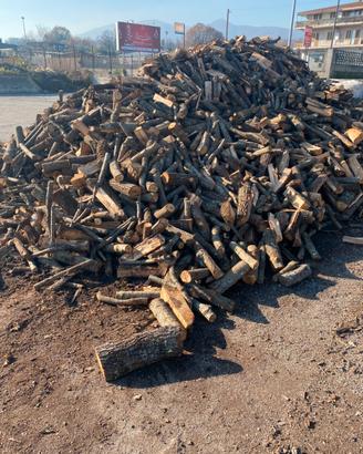 Legna secca di quercia o castagno