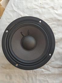 2 casse faitalpro 6fe200 e amplificatore Renegade 