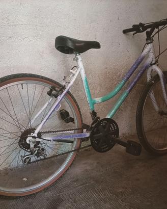 mountain bike da donna