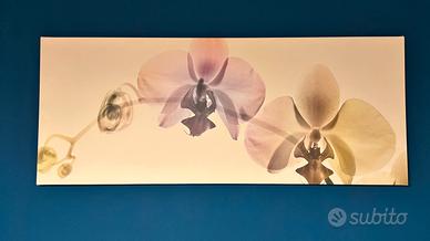 IKEA PJÄTTERYD  quadro tela orchidee