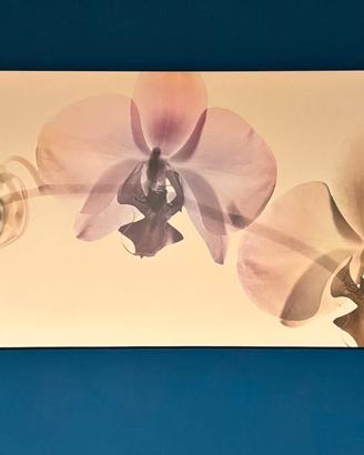 IKEA PJÄTTERYD  quadro tela orchidee