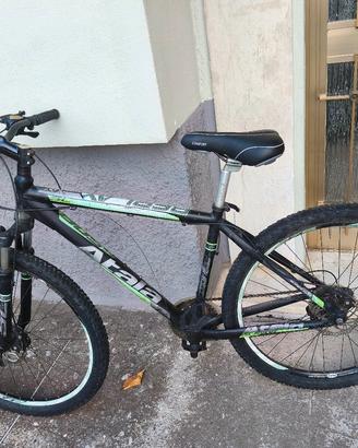 bici mtb