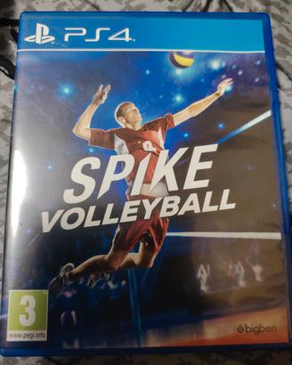 Spike Volleyball
