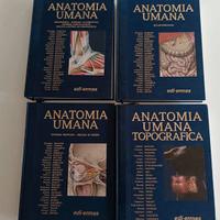 Anatomia umana di G. Anastasi vol 1,2,3 e anatomia