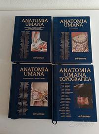 Anatomia umana di G. Anastasi vol 1,2,3 e anatomia