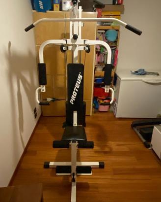 Palestra Multifunzione