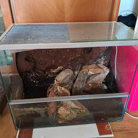 Terrario - Teca per rettili/anfibi