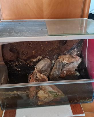 Terrario - Teca per rettili/anfibi