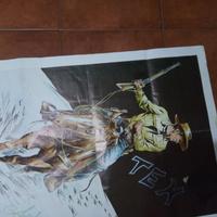 poster Tex