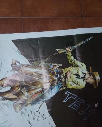 poster Tex