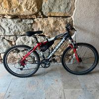 Lee Cougan Hurricane MTB