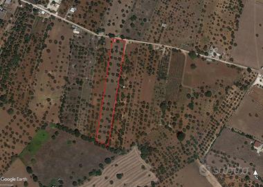 Rustico a Martina Franca, 1 locali