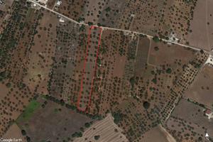 Rustico a Martina Franca, 1 locali