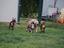 Immagine 26