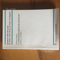 L'amministrazione di sostegno