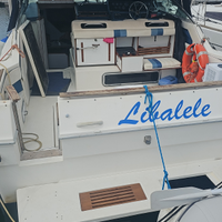 Sea ray 30 MOTORI NUOVI