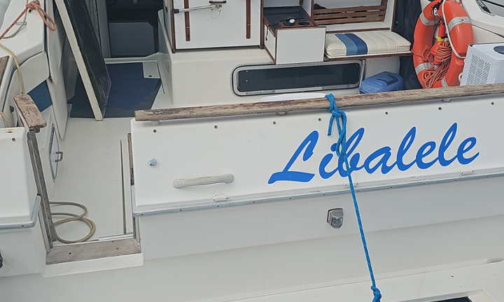 Sea ray 30 MOTORI NUOVI