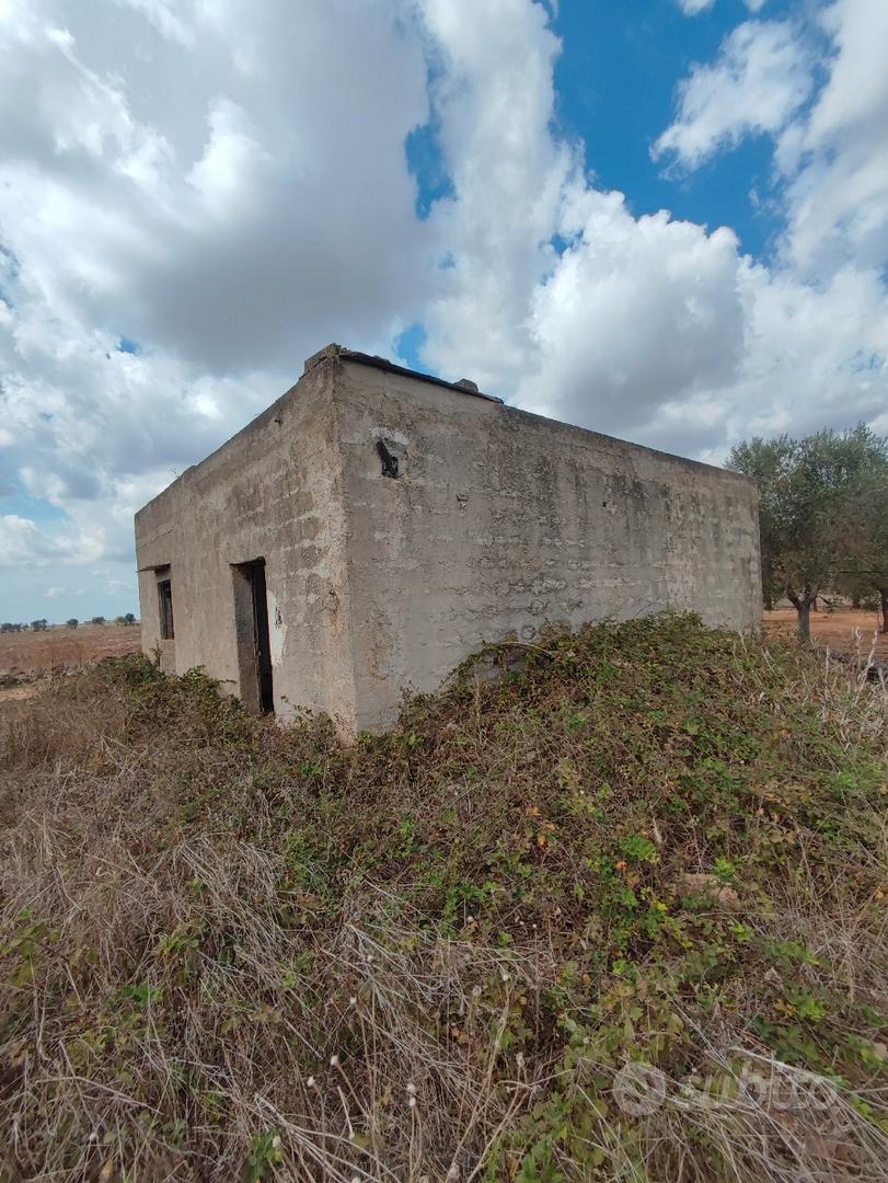 Terreno e rudere - Vista 5
