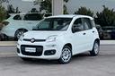 fiat-panda-1-2-69-cv-1-proprietario