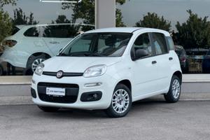 Fiat Panda BENZINA 1.2 CV 69