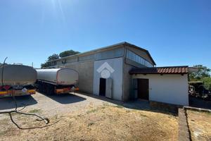 LABORATORIO A ALBANO LAZIALE