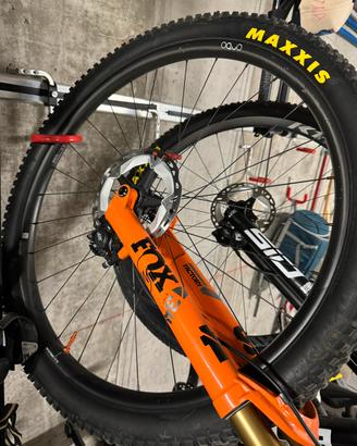 cerchi mtb carbonio Orbea Oquo MP 30 Team 29"