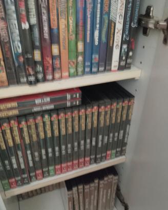 dvd anche cofanetti 