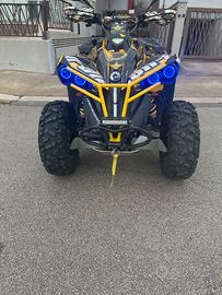 Can am renegade 500