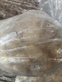 Paraffina solida pura