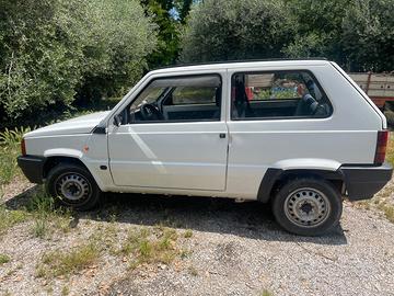 Fiat Panda young