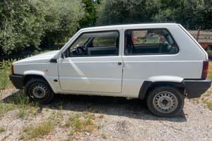 Fiat Panda young