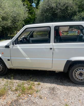 Fiat Panda young