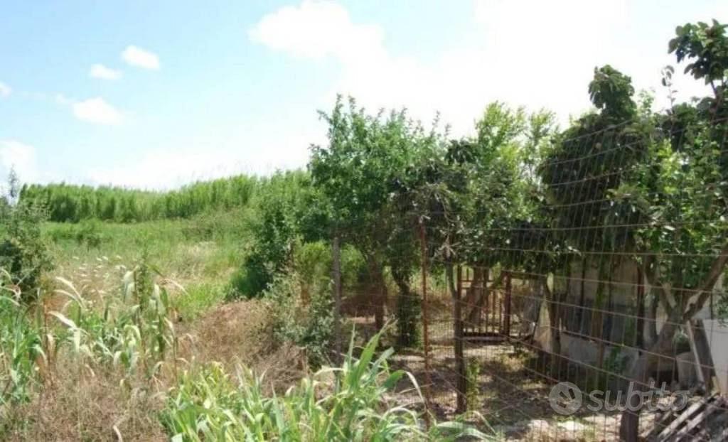 Immobile in asta di 200 m² a Lesina - Vista 5
