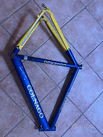 Telaio bici colnago