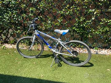 Bicicletta bambino misura 24