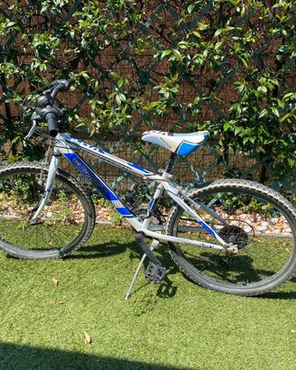 Bicicletta bambino misura 24