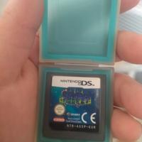 Gioco Nintendo Ds