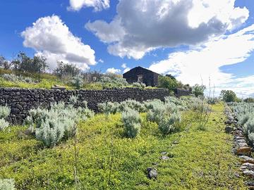 Rif.LF14| terreno agricolo santa maria di licodia
