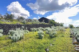 Rif.LF14| terreno agricolo santa maria di licodia