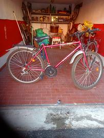 Mountain bike nuova