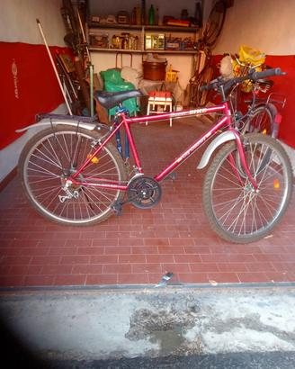 Mountain bike nuova
