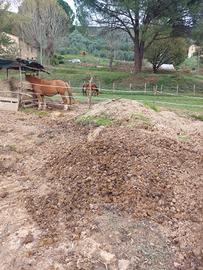 concime / stallatico di cavallo