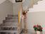 Immagine 7