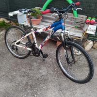 bici ragazzo alluminio 