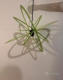 lampadario moderno 