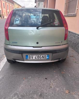 fiat punto