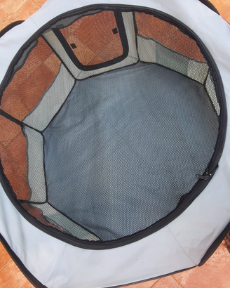 Recinto per gattini e cuccioli