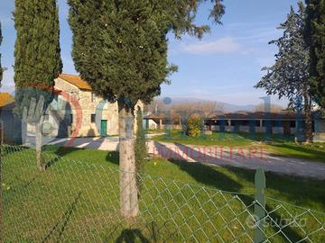 Stabile/Palazzo Bettona [GRIM2670VRG]