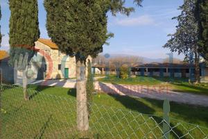 Stabile/Palazzo Bettona [GRIM2670VRG]