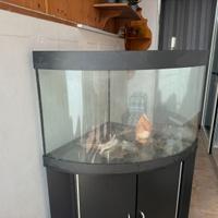 Acquario Juwel Trigon 190